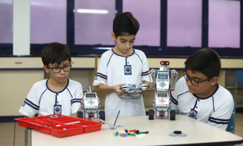 Ensino Fundamental II